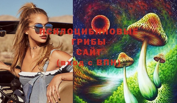 ECSTASY Аркадак
